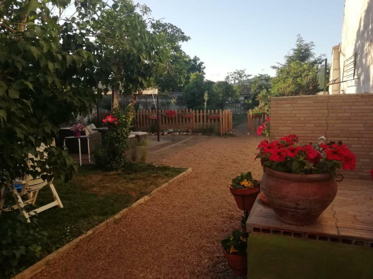 فيلا Boleta A 5 Minutos De Leon, Casa Con Jardin San Andrés del Rabanedo المظهر الخارجي الصورة